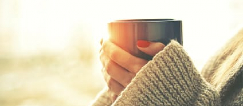 hands holding hot cup of coffee or tea in morning sunlight